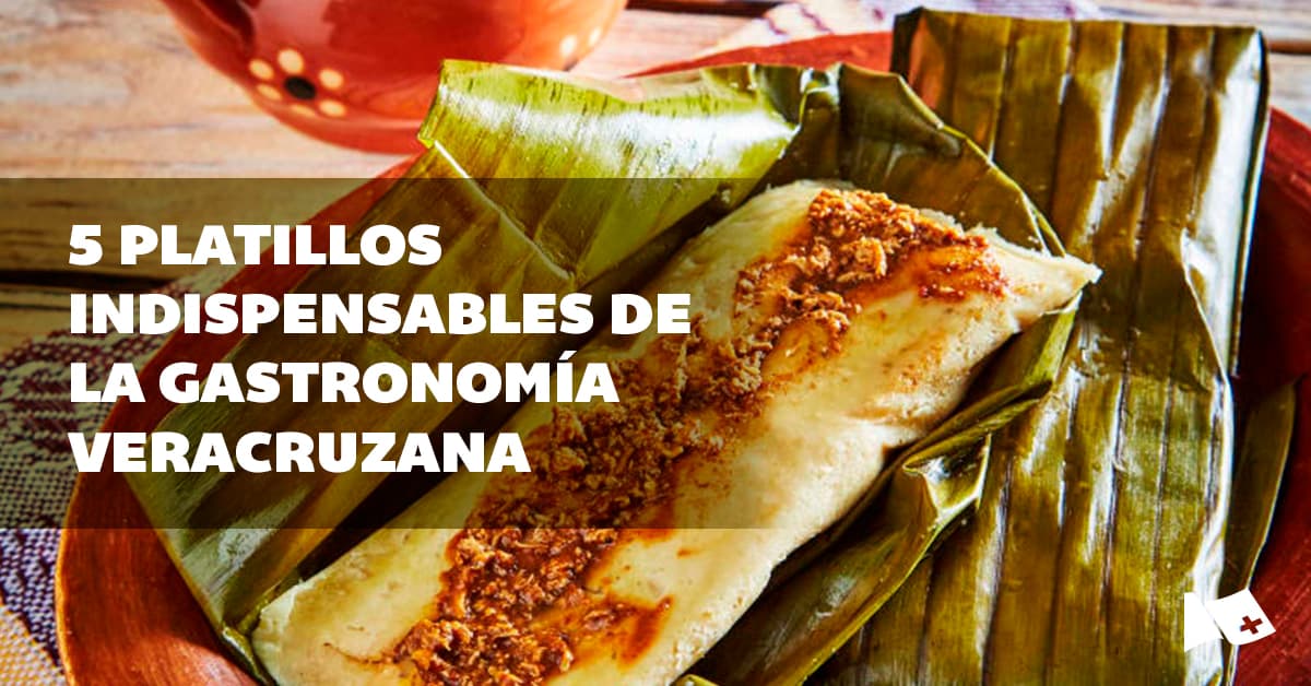 Los 5 indispensables de la gastronomía de Veracruz - ISU Universidad