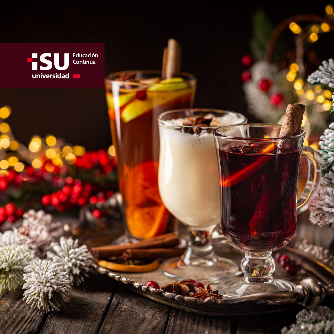 Coctelería Festiva