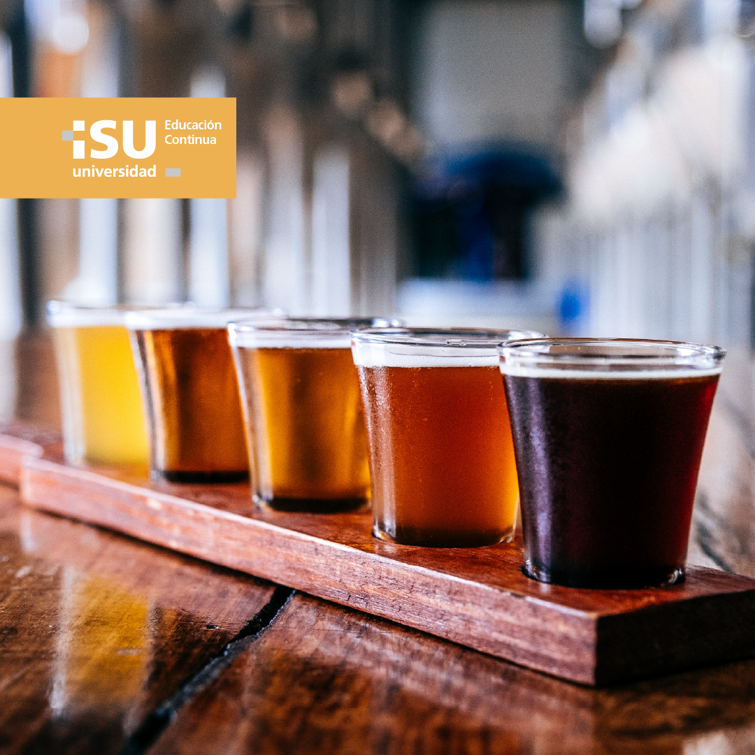 Taller Cata de Cerveza