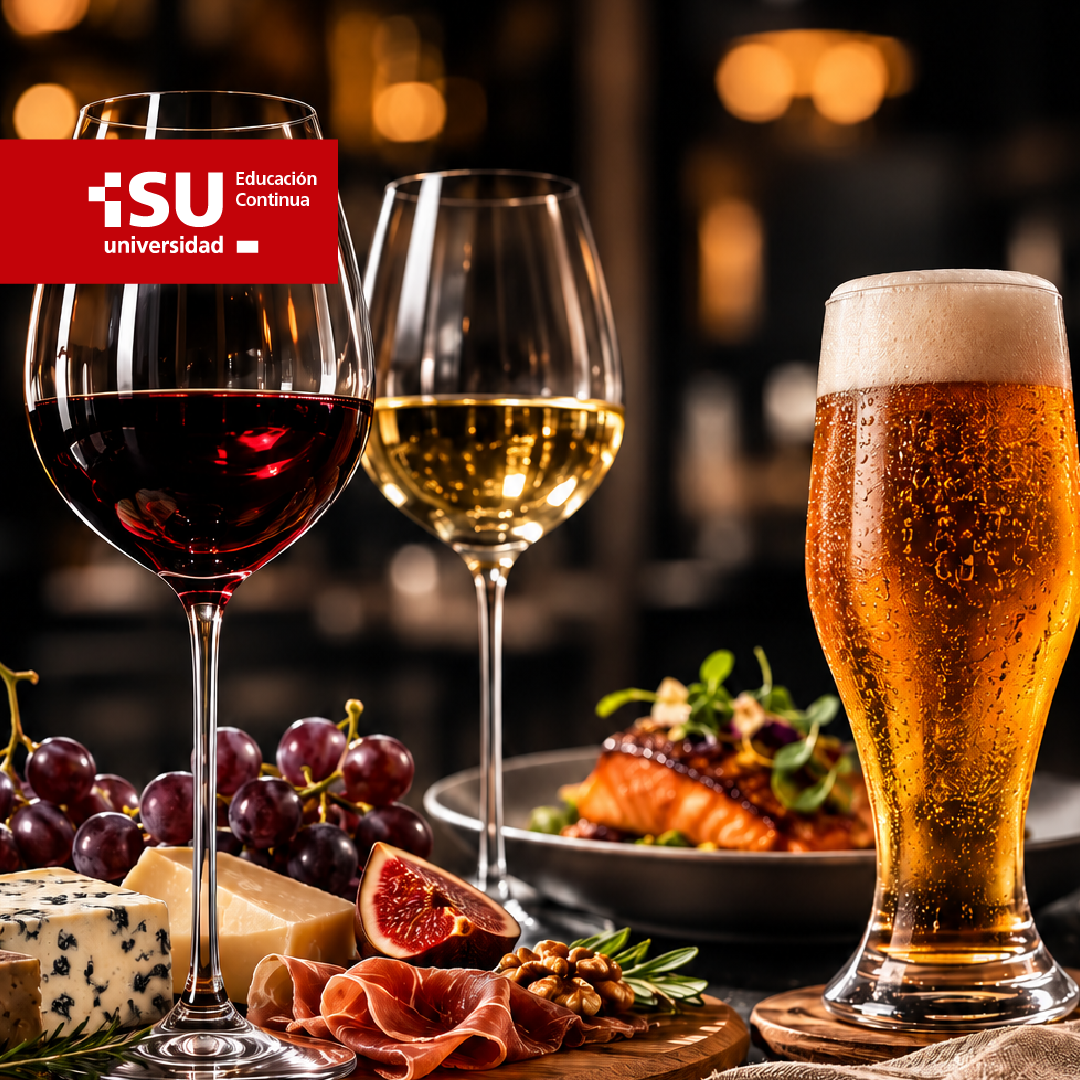 Diplomado Vinos Cerveza y Maridaje