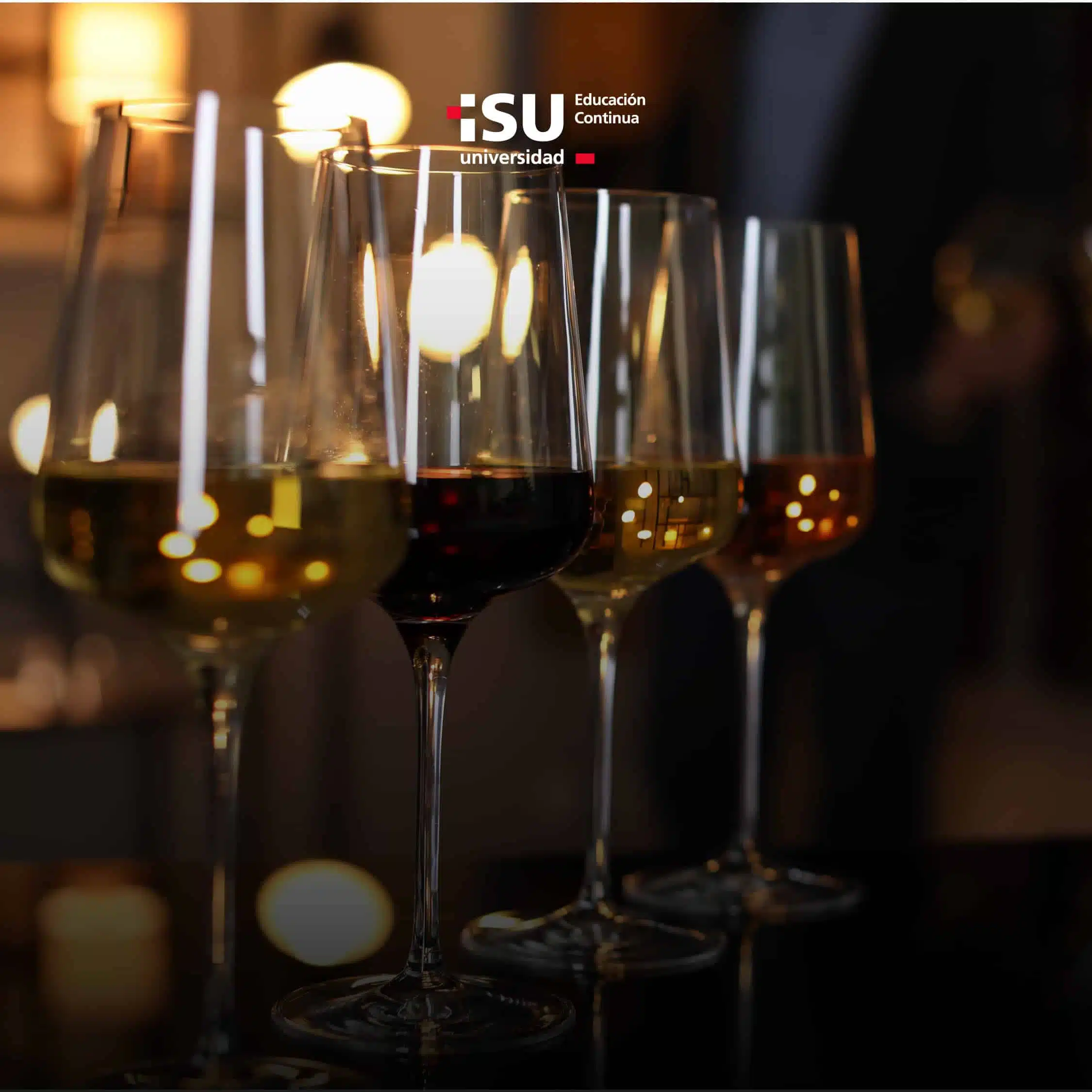 Experiencia cata de vinos & delicias