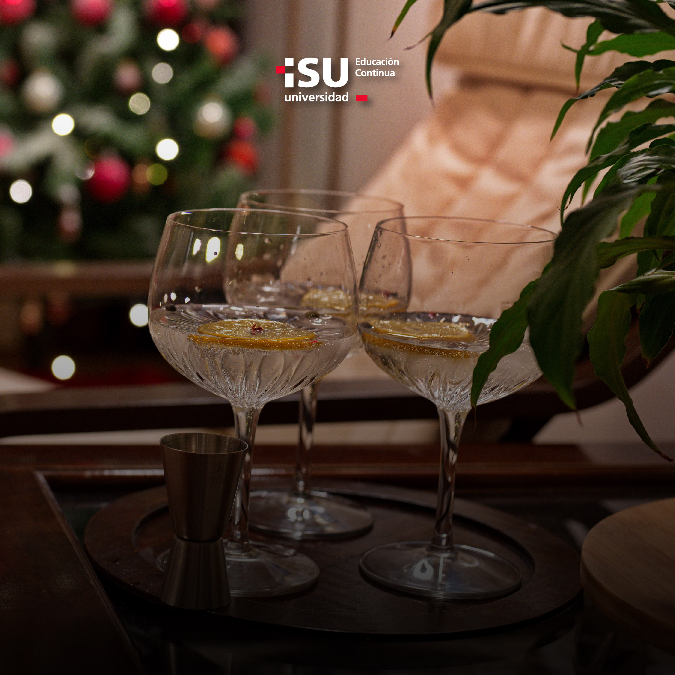 Taller Coctelería y bocadillos navideños