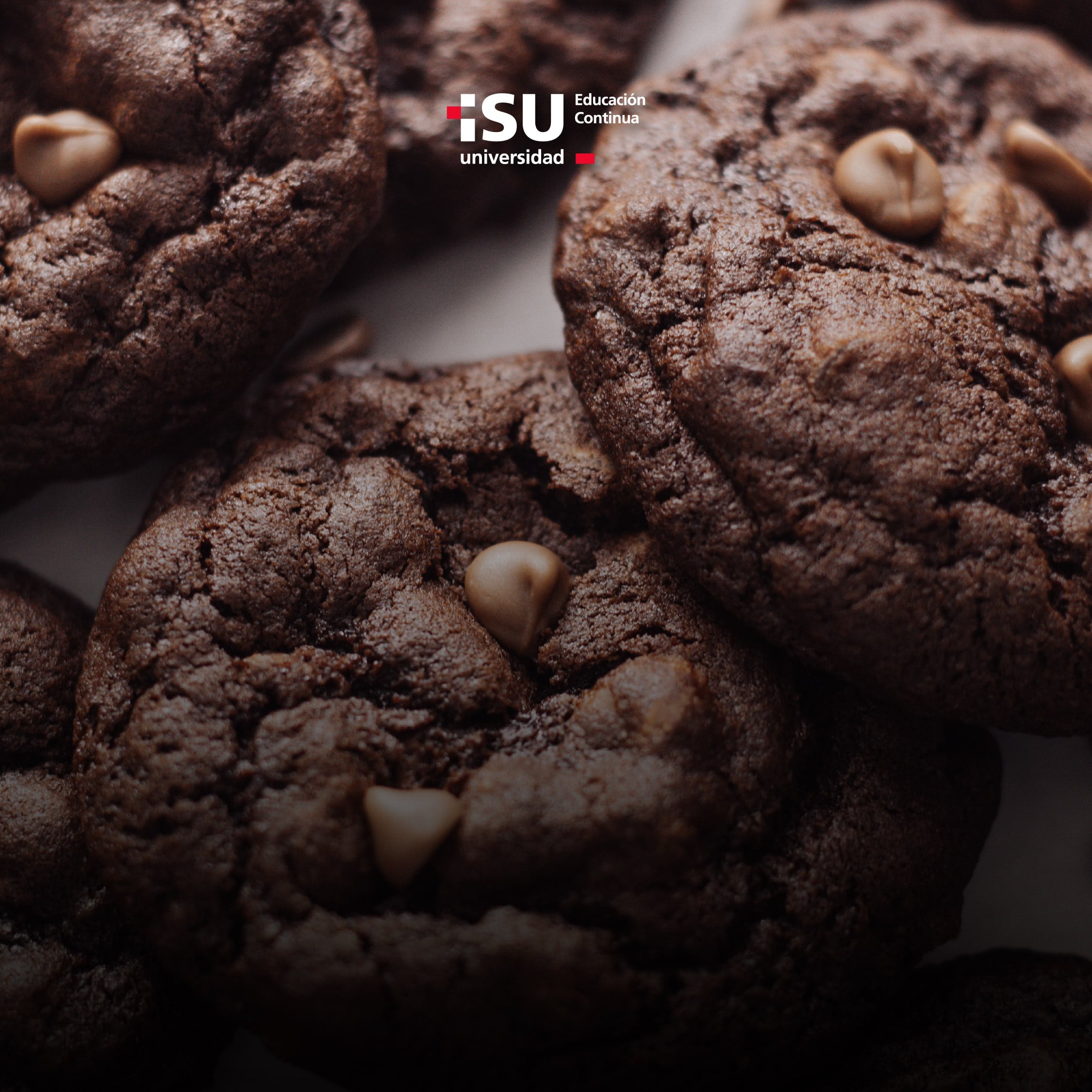 Taller Galletas estilo New York