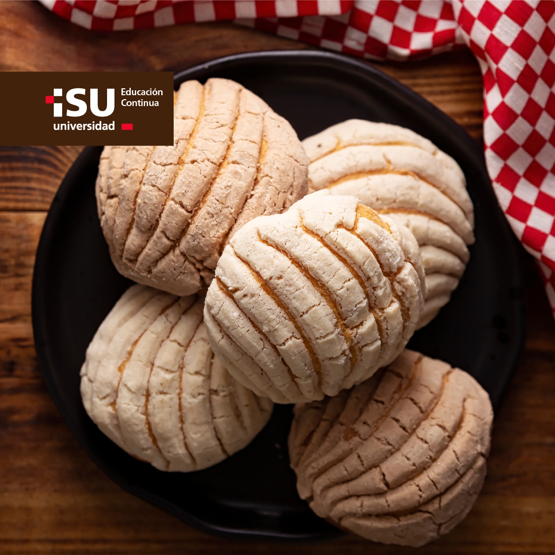 Taller Conchas irresistibles