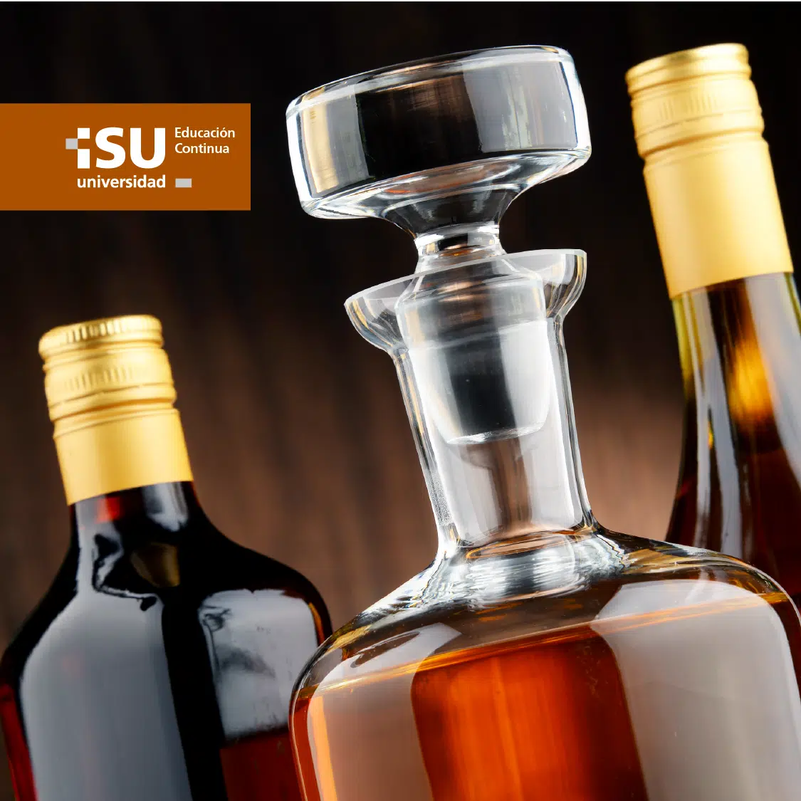 Curso de Destilados y Licores: Degustación y Análisis Profesional