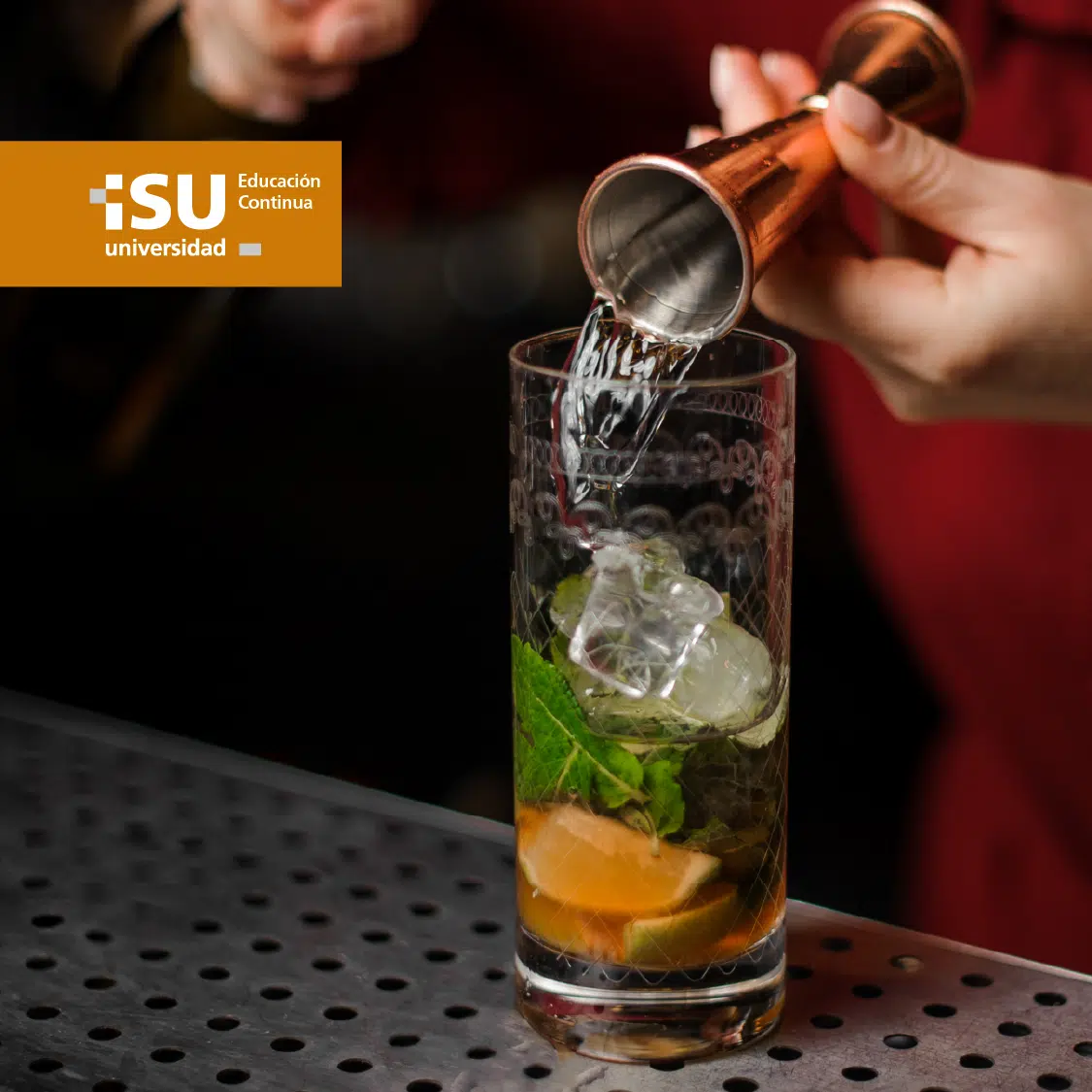 Curso de Mixología: Elaboración de bitters, licores y cócteles