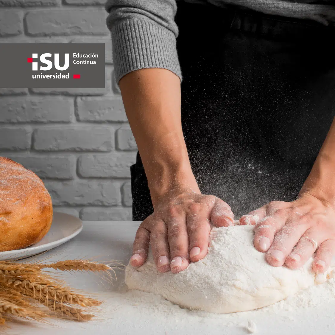 Curso intensivo de panadería para principiantes