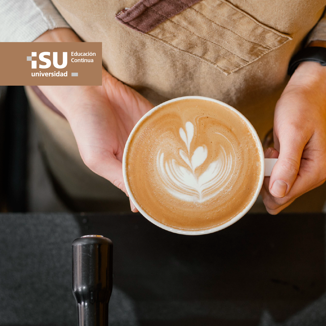 Curso Arquitectura del café: diseña y estructura tu propio producto para cafeterías