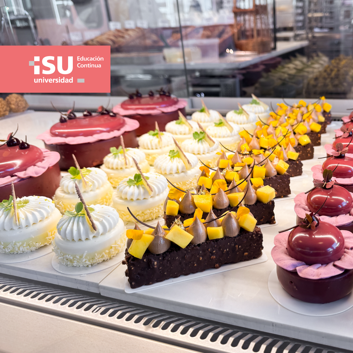 Curso Postres de Vitrina
